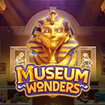 Museum Wonders